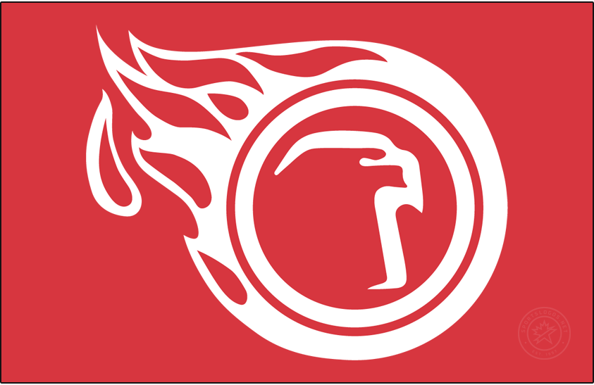 Liberty Flames 1984-1985 Primary Dark Logo t shirts iron on transfers